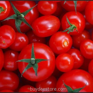 Tomato blogimage
