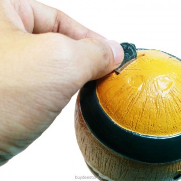 Coconut-Resin-Piggy-Bank5 blogimage