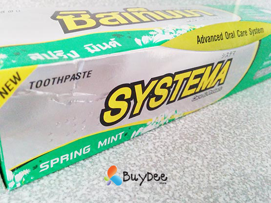 Systema Spring Mint Care & Protect Advanced Oral Care System Toothpaste 160g